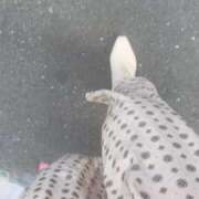 ヒメ日記 2025/06/21 08:49 投稿 平沢(ひらさわ) 人妻出逢い会 百合の園 山の手本店