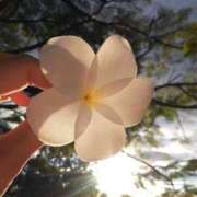 ヒメ日記 2025/07/24 09:57 投稿 平沢(ひらさわ) 人妻出逢い会 百合の園 山の手本店