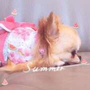 ヒメ日記 2025/08/19 09:17 投稿 平沢(ひらさわ) 人妻出逢い会 百合の園 山の手本店