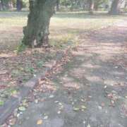 ヒメ日記 2025/09/08 08:37 投稿 平沢(ひらさわ) 人妻出逢い会 百合の園 山の手本店