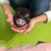 クミ 運動大事！ キャンディ(鹿児島)