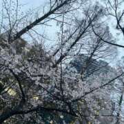 ヒメ日記 2026/03/26 13:15 投稿 のあ 俺のヤバい妻。(谷九)