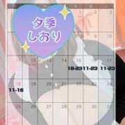 ヒメ日記 2026/01/14 13:13 投稿 夕季 BBW五反田店