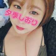 ヒメ日記 2026/03/25 07:23 投稿 夕季 BBW五反田店