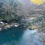 ヒメ日記 2026/01/22 00:54 投稿 あいり プリコレ（PRINCESS COLLECTION）