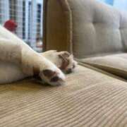 ヒメ日記 2025/08/07 21:09 投稿 あまね 桃色クリスタル