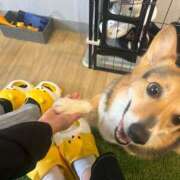 ヒメ日記 2025/11/21 21:14 投稿 あまね 桃色クリスタル