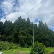 あまね 明日✨ 桃色クリスタル