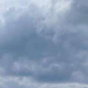 ヒメ日記 2025/07/20 08:46 投稿 ヒナノ マテリアル