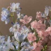 ヒメ日記 2025/10/07 19:31 投稿 ヒナノ マテリアル