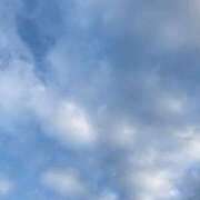 ヒメ日記 2025/12/29 08:31 投稿 ヒナノ マテリアル