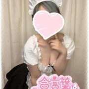 ヒメ日記 2025/08/14 12:30 投稿 ゆき プリンセスセレクション姫路