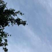 ヒメ日記 2025/05/26 06:02 投稿 あいの Delyz（デリーズ）