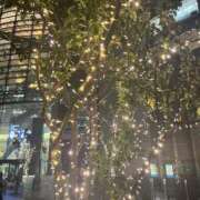 あいの 11/30 Delyz（デリーズ）