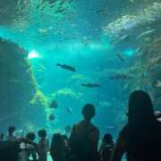 ヒメ日記 2025/09/22 22:51 投稿 あいみ はちみつ