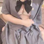 ヒメ日記 2025/10/13 09:51 投稿 かりん 石庭