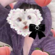 ヒメ日記 2025/10/21 09:51 投稿 かりん 石庭