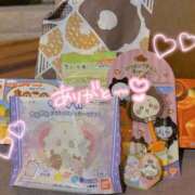 ヒメ日記 2025/11/03 01:09 投稿 かりん 石庭