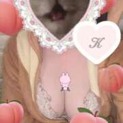 ヒメ日記 2025/12/11 20:50 投稿 かりん 石庭