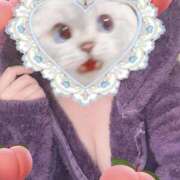 ヒメ日記 2026/01/23 18:50 投稿 かりん 石庭