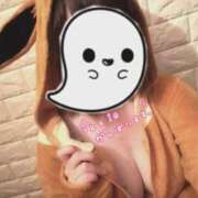 ヒメ日記 2026/02/18 10:40 投稿 かりん 石庭