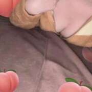 ヒメ日記 2026/02/19 18:20 投稿 かりん 石庭