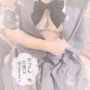 ヒメ日記 2026/04/24 18:22 投稿 かりん 石庭