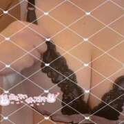 ヒメ日記 2026/05/03 11:07 投稿 かりん 石庭