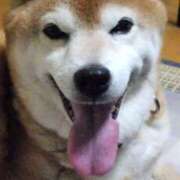 ヒメ日記 2025/07/02 18:55 投稿 りんか オズ 千葉栄町店