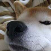 ヒメ日記 2025/09/15 18:59 投稿 りんか オズ 千葉栄町店