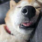 ヒメ日記 2025/11/11 09:49 投稿 りんか オズ 千葉栄町店