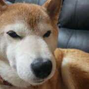 ヒメ日記 2025/12/28 14:49 投稿 りんか オズ 千葉栄町店