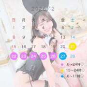 ヒメ日記 2026/02/14 15:02 投稿 かなで JAPAN CLUB BUNNY LOUNGE