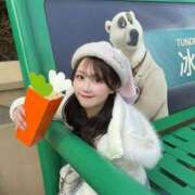 ヒメ日記 2026/03/28 06:03 投稿 かなで JAPAN CLUB BUNNY LOUNGE