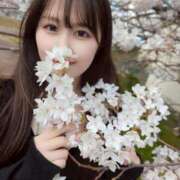 ヒメ日記 2026/03/30 09:15 投稿 かなで JAPAN CLUB BUNNY LOUNGE