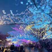 ヒメ日記 2026/04/09 21:04 投稿 かなで JAPAN CLUB BUNNY LOUNGE