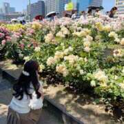 ヒメ日記 2026/05/18 17:01 投稿 かなで JAPAN CLUB BUNNY LOUNGE
