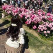 ヒメ日記 2026/06/21 07:30 投稿 かなで JAPAN CLUB BUNNY LOUNGE