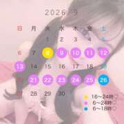ヒメ日記 2026/08/27 08:01 投稿 かなで JAPAN CLUB BUNNY LOUNGE