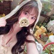 ヒメ日記 2026/10/10 14:38 投稿 かなで JAPAN CLUB BUNNY LOUNGE