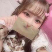 ヒメ日記 2026/10/12 16:08 投稿 かなで JAPAN CLUB BUNNY LOUNGE