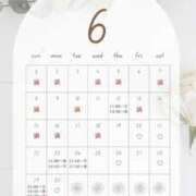 ヒメ日記 2025/06/20 00:02 投稿 音羽(おとは) 高崎回春性感SPA