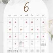 ヒメ日記 2025/06/24 10:00 投稿 音羽(おとは) 高崎回春性感SPA