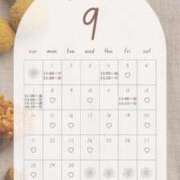 ヒメ日記 2025/08/27 15:00 投稿 音羽(おとは) 高崎回春性感SPA