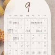 ヒメ日記 2025/09/01 00:04 投稿 音羽(おとは) 高崎回春性感SPA