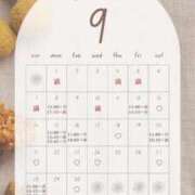 ヒメ日記 2025/09/08 10:01 投稿 音羽(おとは) 高崎回春性感SPA