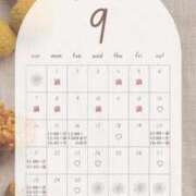 ヒメ日記 2025/09/13 10:01 投稿 音羽(おとは) 高崎回春性感SPA