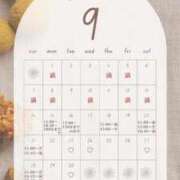 ヒメ日記 2025/09/15 00:00 投稿 音羽(おとは) 高崎回春性感SPA