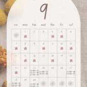 ヒメ日記 2025/09/23 00:00 投稿 音羽(おとは) 高崎回春性感SPA