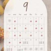 ヒメ日記 2025/09/24 08:01 投稿 音羽(おとは) 高崎回春性感SPA